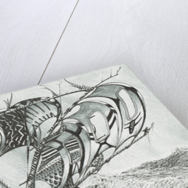 Storm Creators Sargasso Sea, 2017 by Vincent Alexander Booth