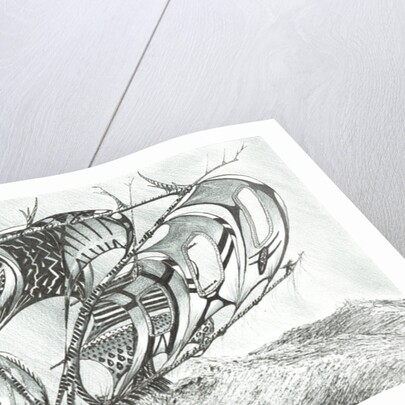 Storm Creators Sargasso Sea, 2017 by Vincent Alexander Booth