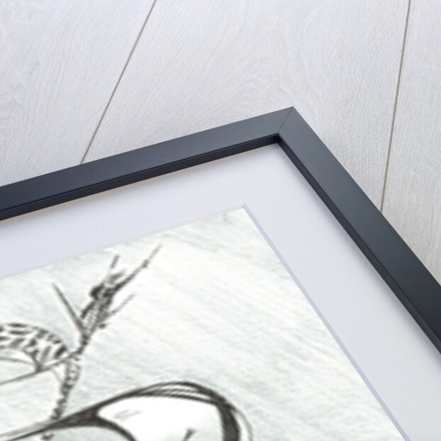 Storm Creators Prince Gustav Adolf Sea, 2017 by Vincent Alexander Booth