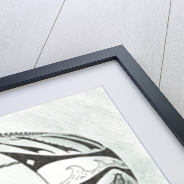 Storm Creators Lincoln Sea, 2017 by Vincent Alexander Booth