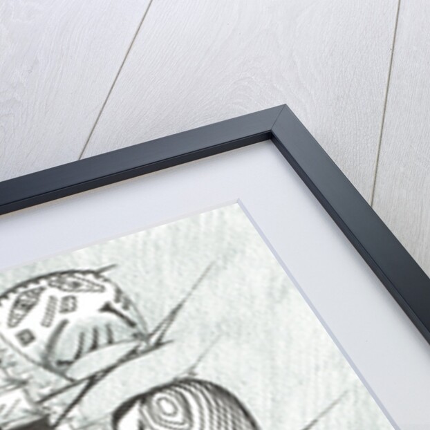 Storm Creators Ross Sea, 2017 by Vincent Alexander Booth