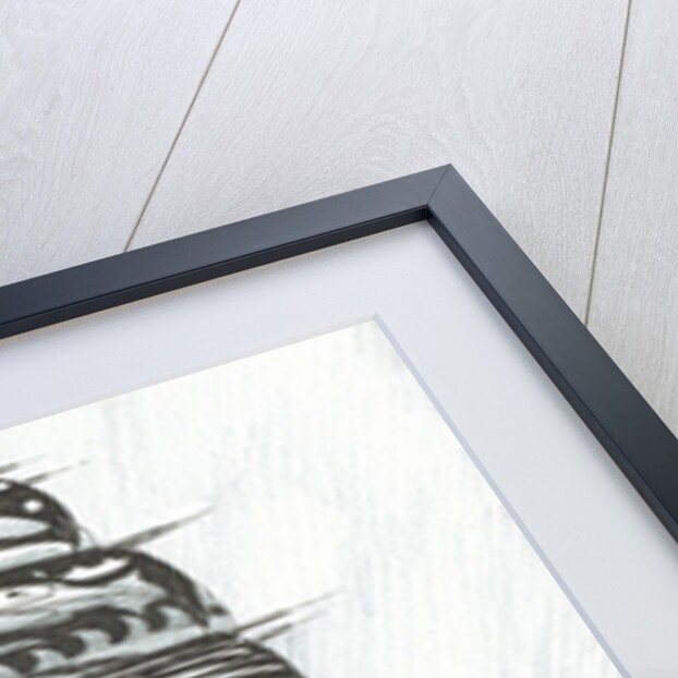 Storm Creators Red Sea, 2017 by Vincent Alexander Booth