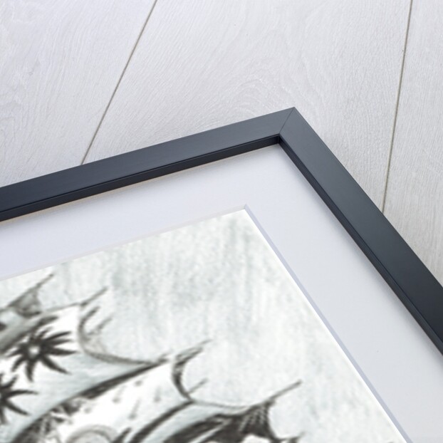 Storm Creators Timor Sea, 2017 by Vincent Alexander Booth