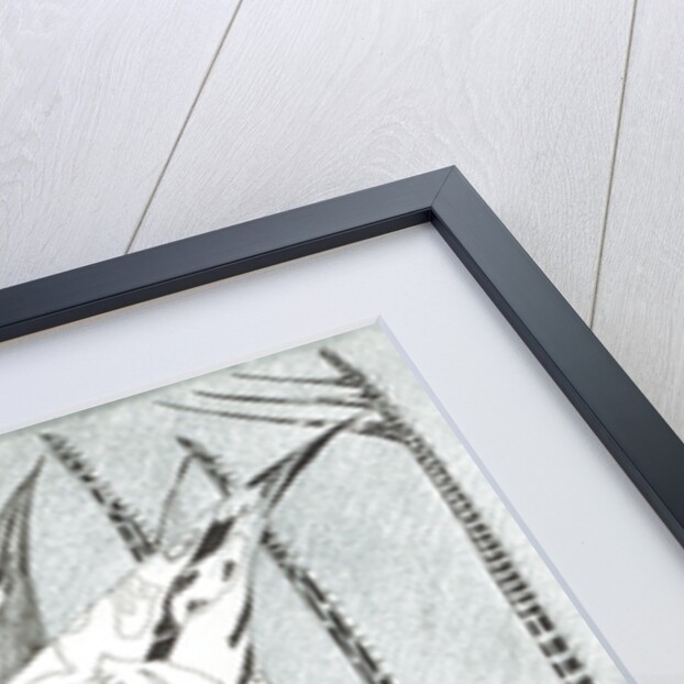 Storm Creators Kara Sea, 2017 by Vincent Alexander Booth