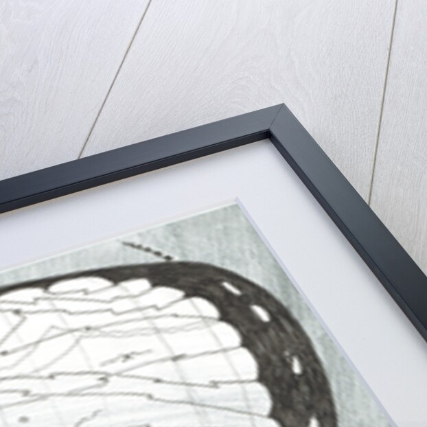 Storm Creators Chukchi Sea, 2017 by Vincent Alexander Booth