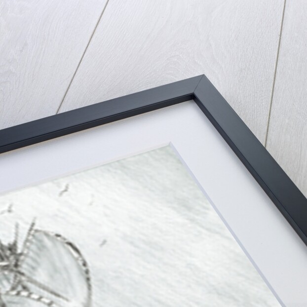 Storm Creators Coral Sea, 2017 by Vincent Alexander Booth