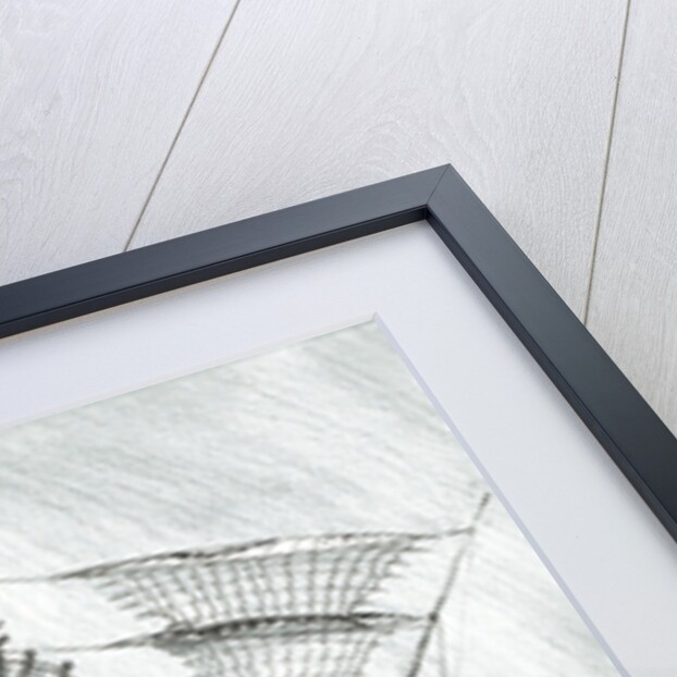 Storm Creators Savu Sea, 2017 by Vincent Alexander Booth