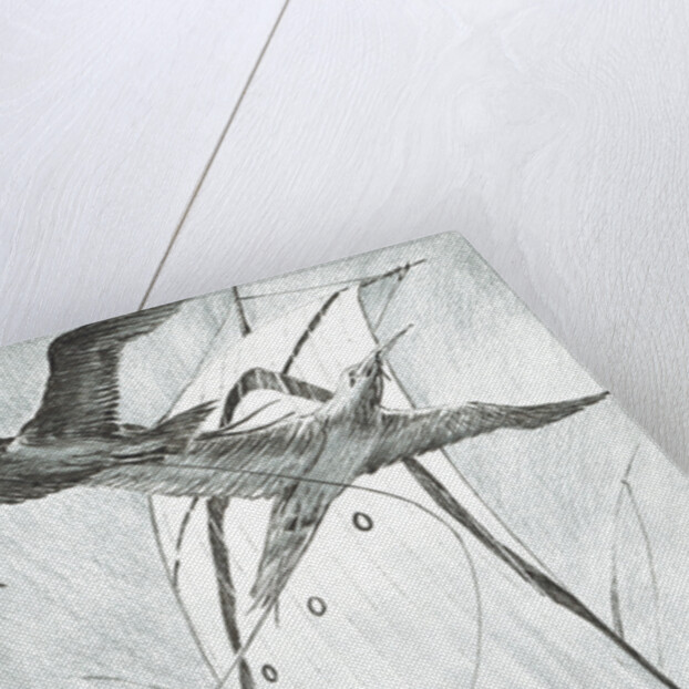 Storm Creators Wandel Sea, 2017 by Vincent Alexander Booth