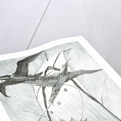 Storm Creators Wandel Sea, 2017 by Vincent Alexander Booth