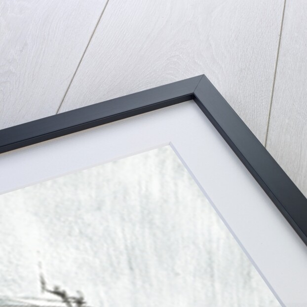 Storm Creators Molucca Sea, 2017 by Vincent Alexander Booth