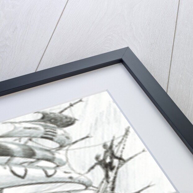 Storm Creators Arafura Sea, 2017 by Vincent Alexander Booth