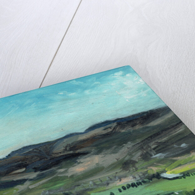 Cairngorms from Creag Dhubh, 2006 by Vincent Alexander Booth