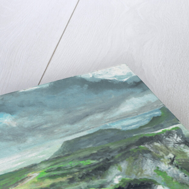 Gower Point, 1991 by Vincent Alexander Booth