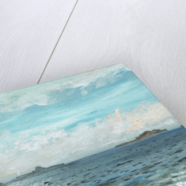 Iona beach, 2007 by Vincent Alexander Booth