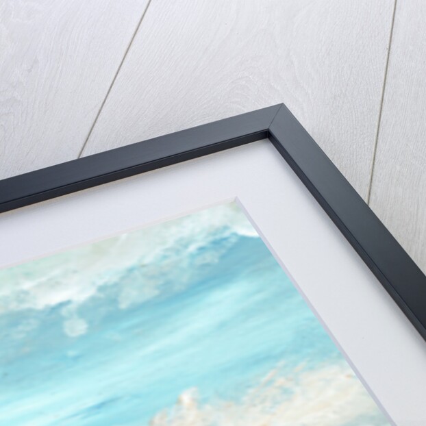 Iona beach, 2007 by Vincent Alexander Booth