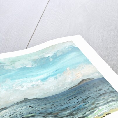 Iona beach, 2007 by Vincent Alexander Booth