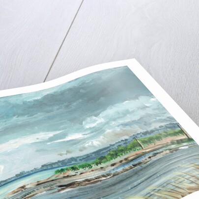 Iona Scotland, 2007 by Vincent Alexander Booth