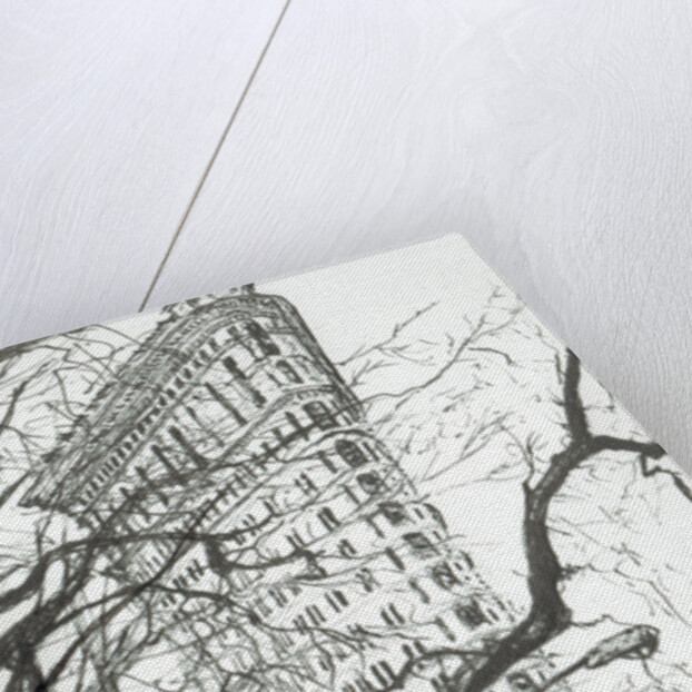 New York Flat Iron Building, 2003 by Vincent Alexander Booth