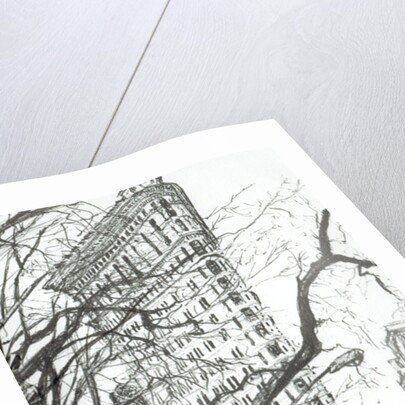 New York Flat Iron Building, 2003 by Vincent Alexander Booth