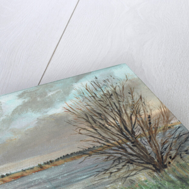 Fannyside Loch, 2009 by Vincent Alexander Booth