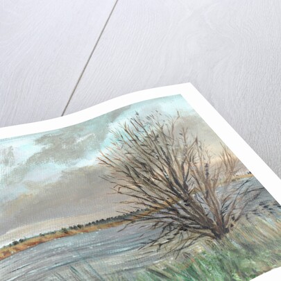 Fannyside Loch, 2009 by Vincent Alexander Booth