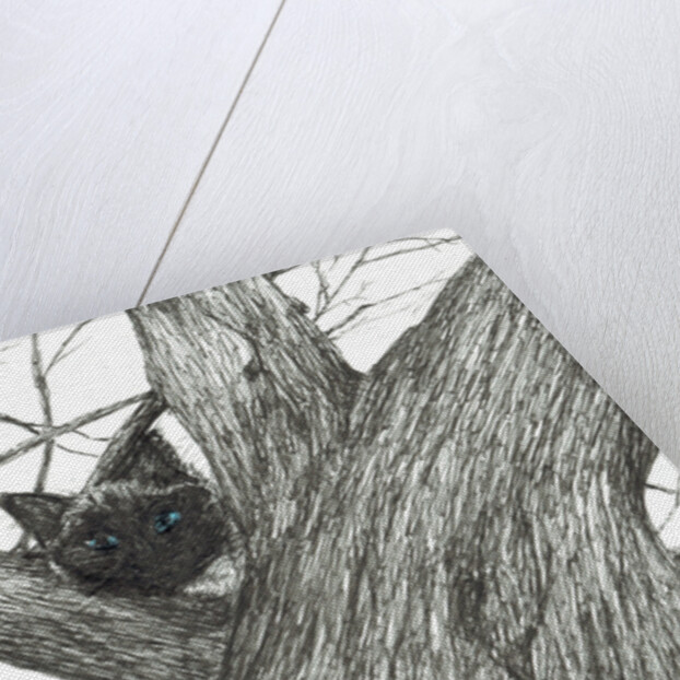 Apple tree Baby, 2015 by Vincent Alexander Booth