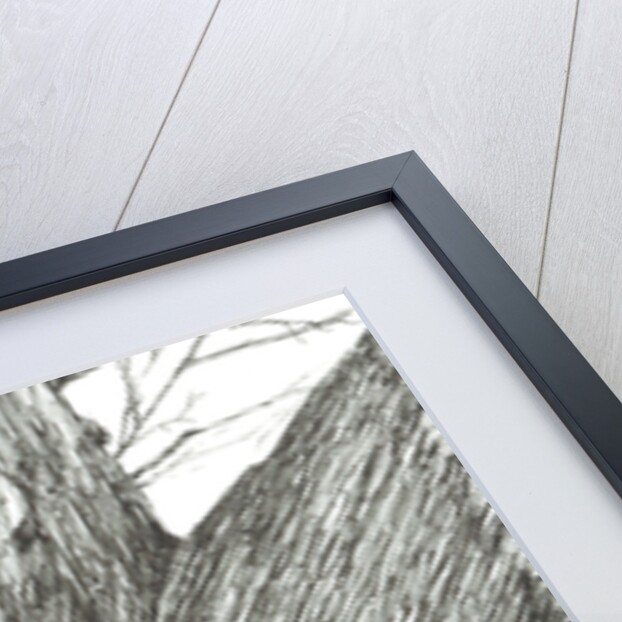 Apple tree Baby, 2015 by Vincent Alexander Booth