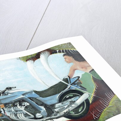 Freedom deliverance, 1986 by Vincent Alexander Booth