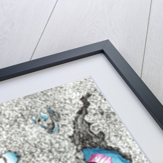 Paleheads, 2017 by Vincent Alexander Booth