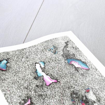 Paleheads, 2017 by Vincent Alexander Booth