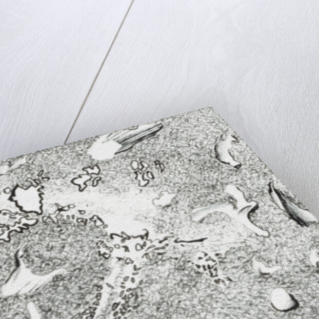 Horse Apparition, 2017 by Vincent Alexander Booth