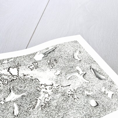 Horse Apparition, 2017 by Vincent Alexander Booth