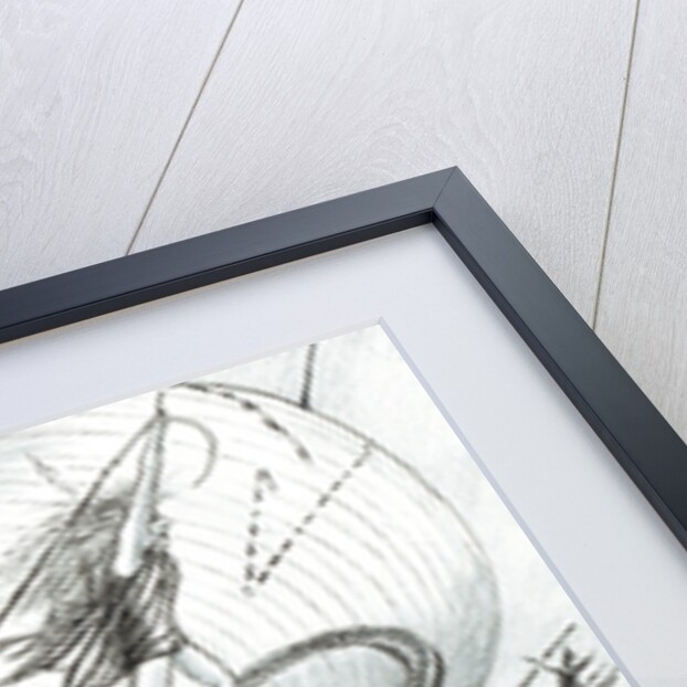 Storm Creators Baltic Sea, 2017 by Vincent Alexander Booth