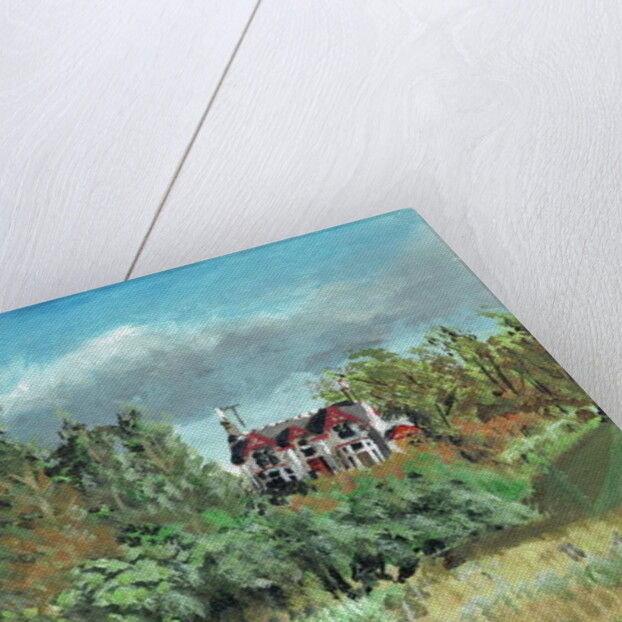 House in the Highlands, Creag Dhubh, 2006 by Vincent Alexander Booth