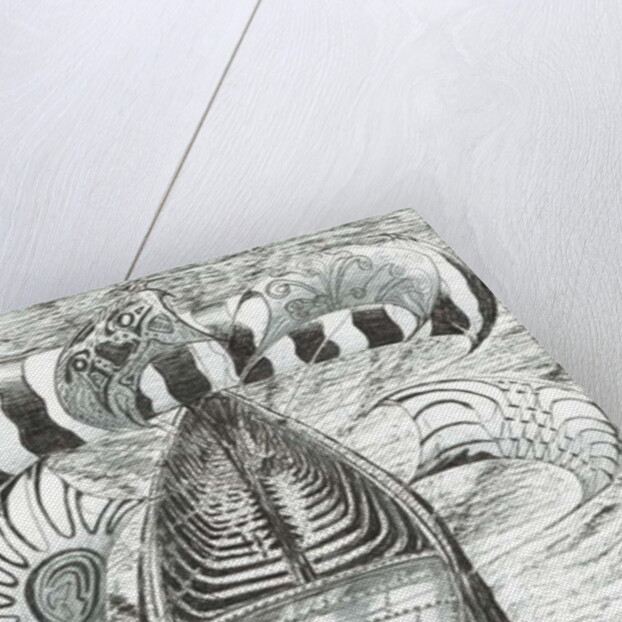 Storm Creators Philippine Sea, 2017 by Vincent Alexander Booth