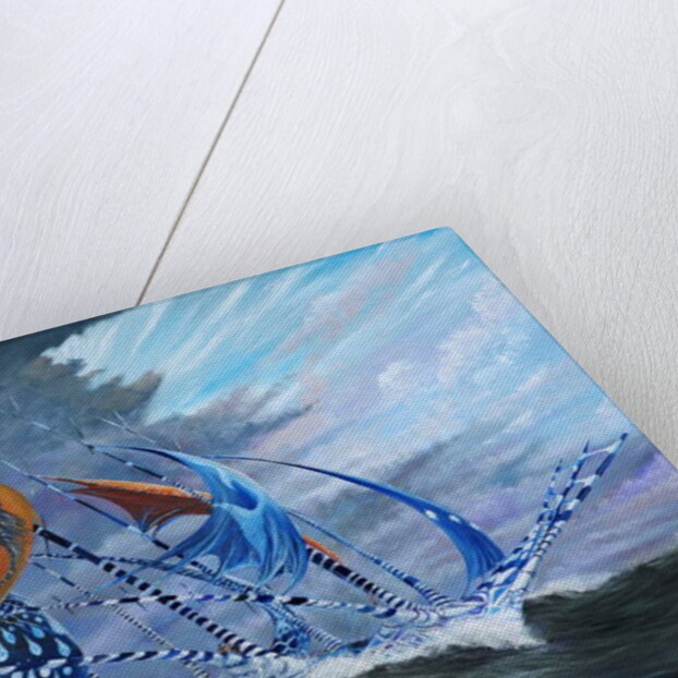 Storm creators Koro Sea, 2018 by Vincent Alexander Booth