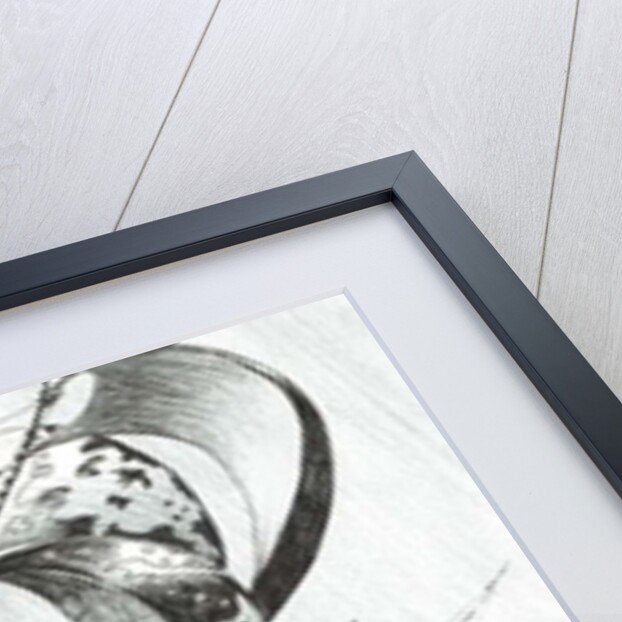 Storm creators Tyrrhenian Sea, 2018 by Vincent Alexander Booth