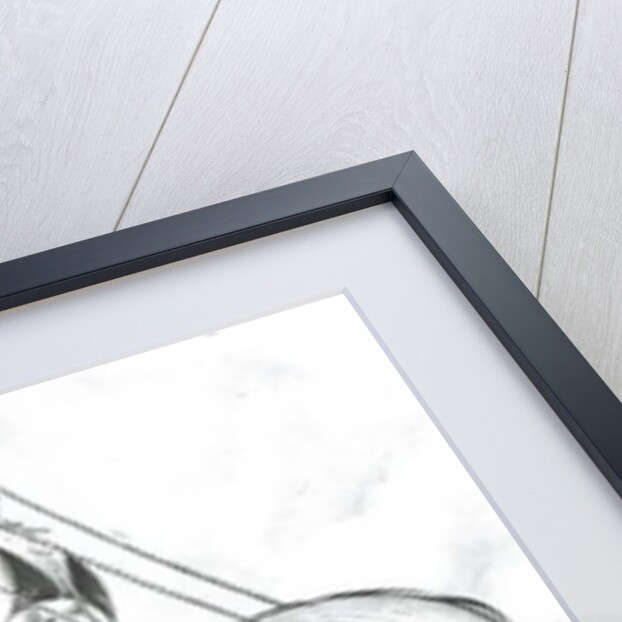 Storm creators Banda Sea, 2018 by Vincent Alexander Booth