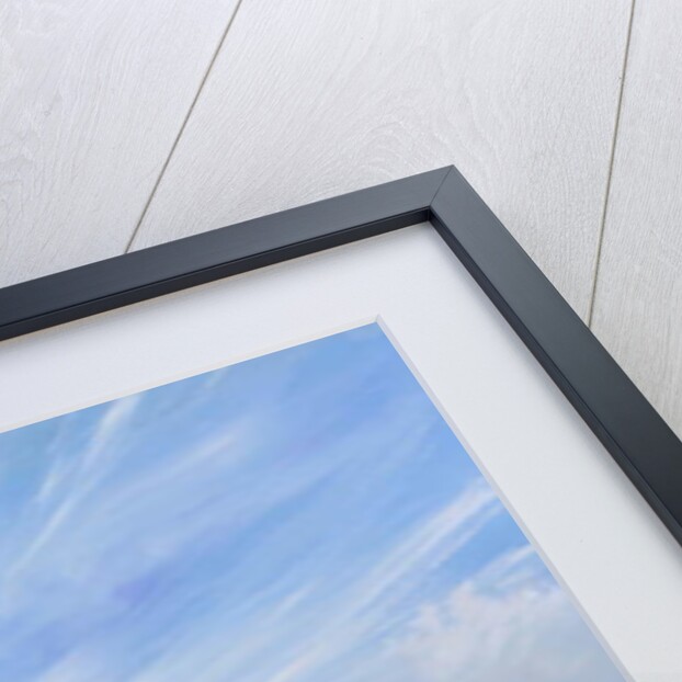 Ed leads the billies, 2018 by Vincent Alexander Booth