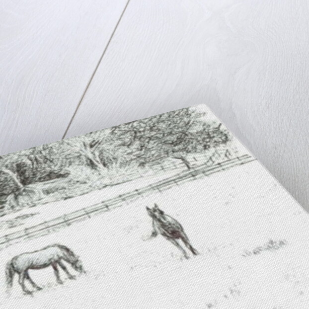 Horses at top of lane, 2008 by Vincent Alexander Booth