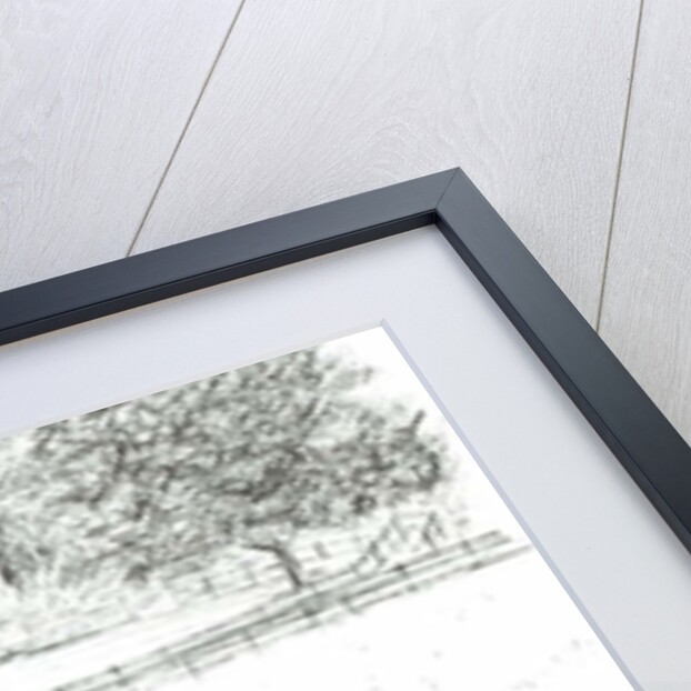 Horses at top of lane, 2008 by Vincent Alexander Booth