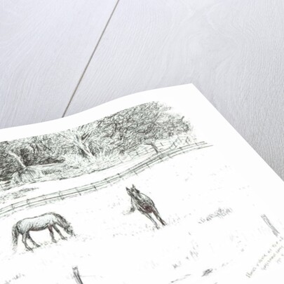 Horses at top of lane, 2008 by Vincent Alexander Booth