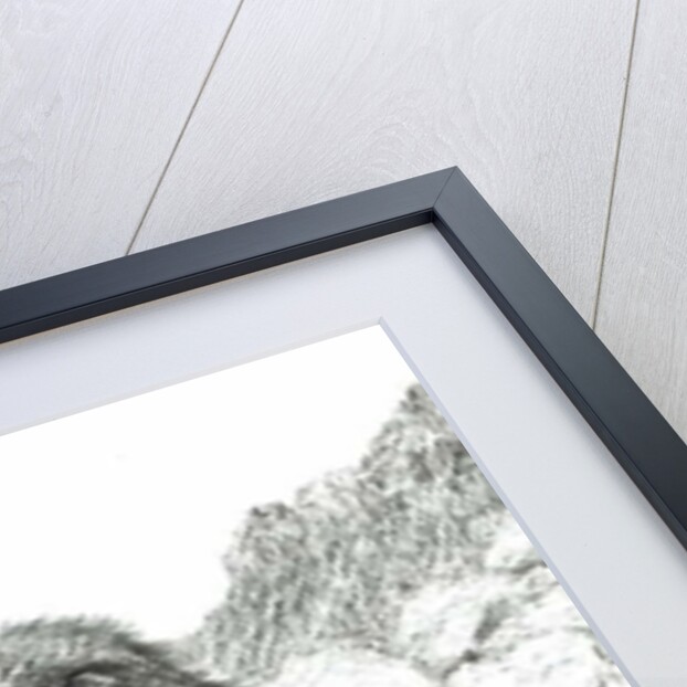 Eagles of the Highlands, 2011 by Vincent Alexander Booth