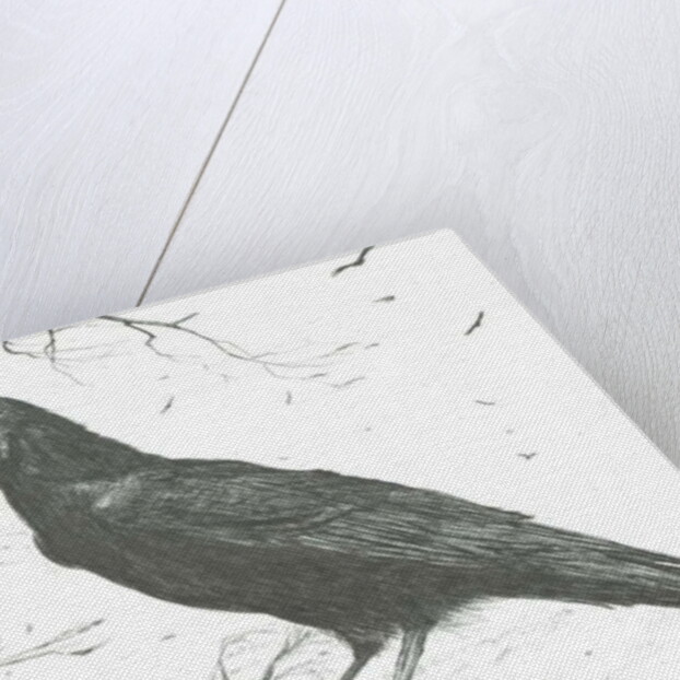 Observers, 2011 by Vincent Alexander Booth