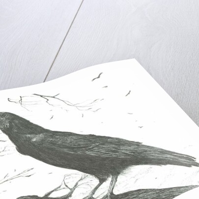 Observers, 2011 by Vincent Alexander Booth