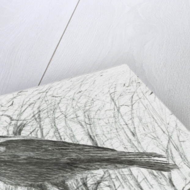 Bird, 2011 by Vincent Alexander Booth