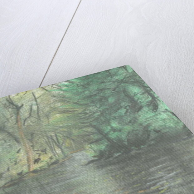 Marlborough pond, 2005 by Vincent Alexander Booth