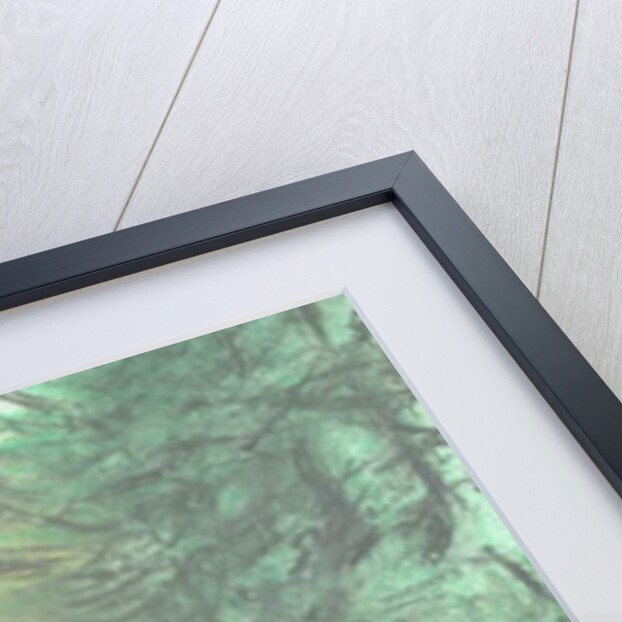 Marlborough pond, 2005 by Vincent Alexander Booth