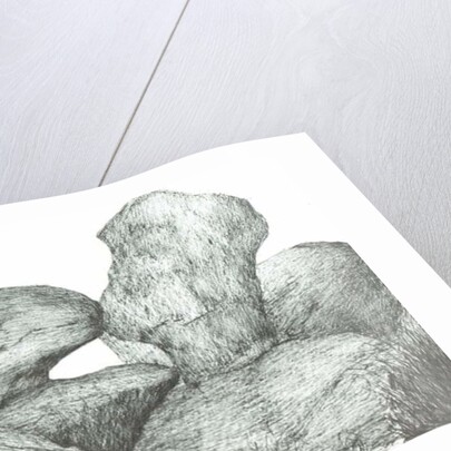 Kissing rocks on Kinder Scout, 2007 by Vincent Alexander Booth