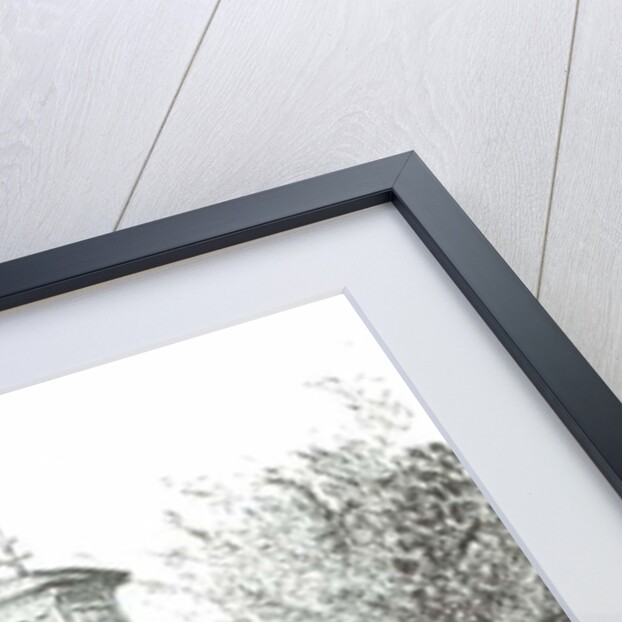 Osborne House, 2009 by Vincent Alexander Booth